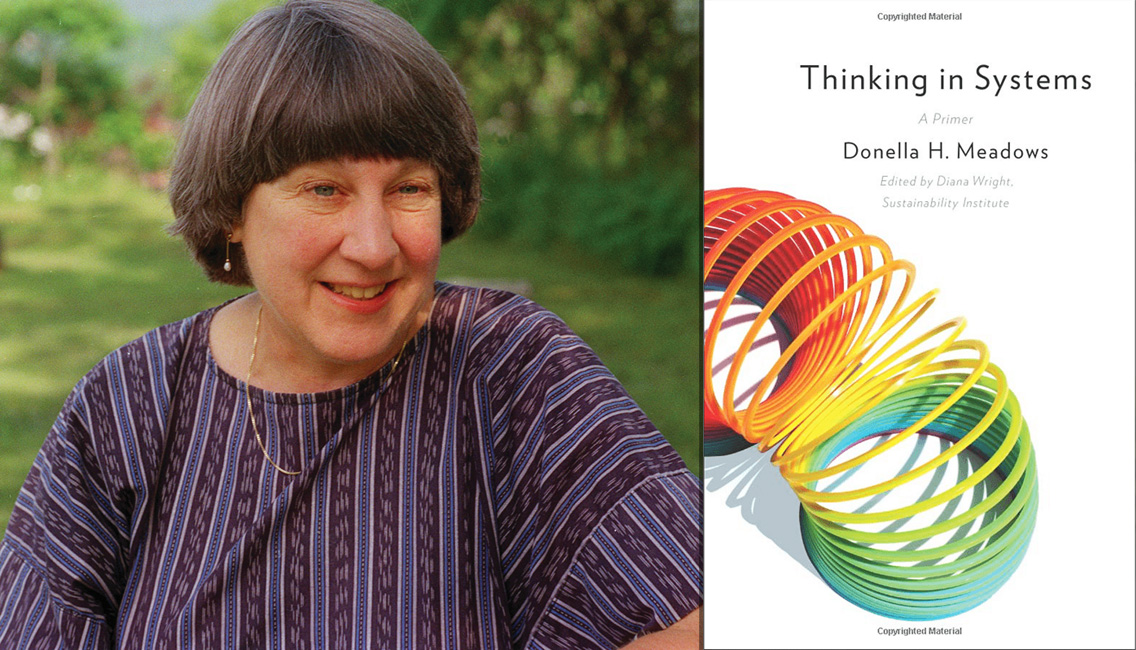 Donella Meadows och hennes bok om systemteori Thinking in System